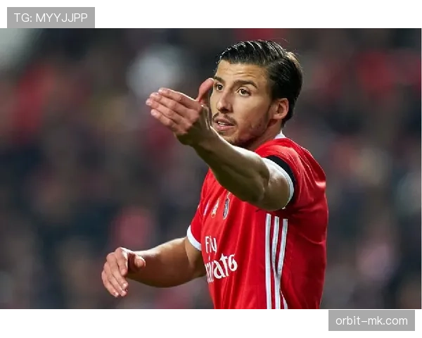 本菲卡阵容深度解析：新赛季实力跃升，球迷翘首以盼精彩表现